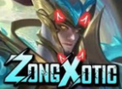 Zong Patcher